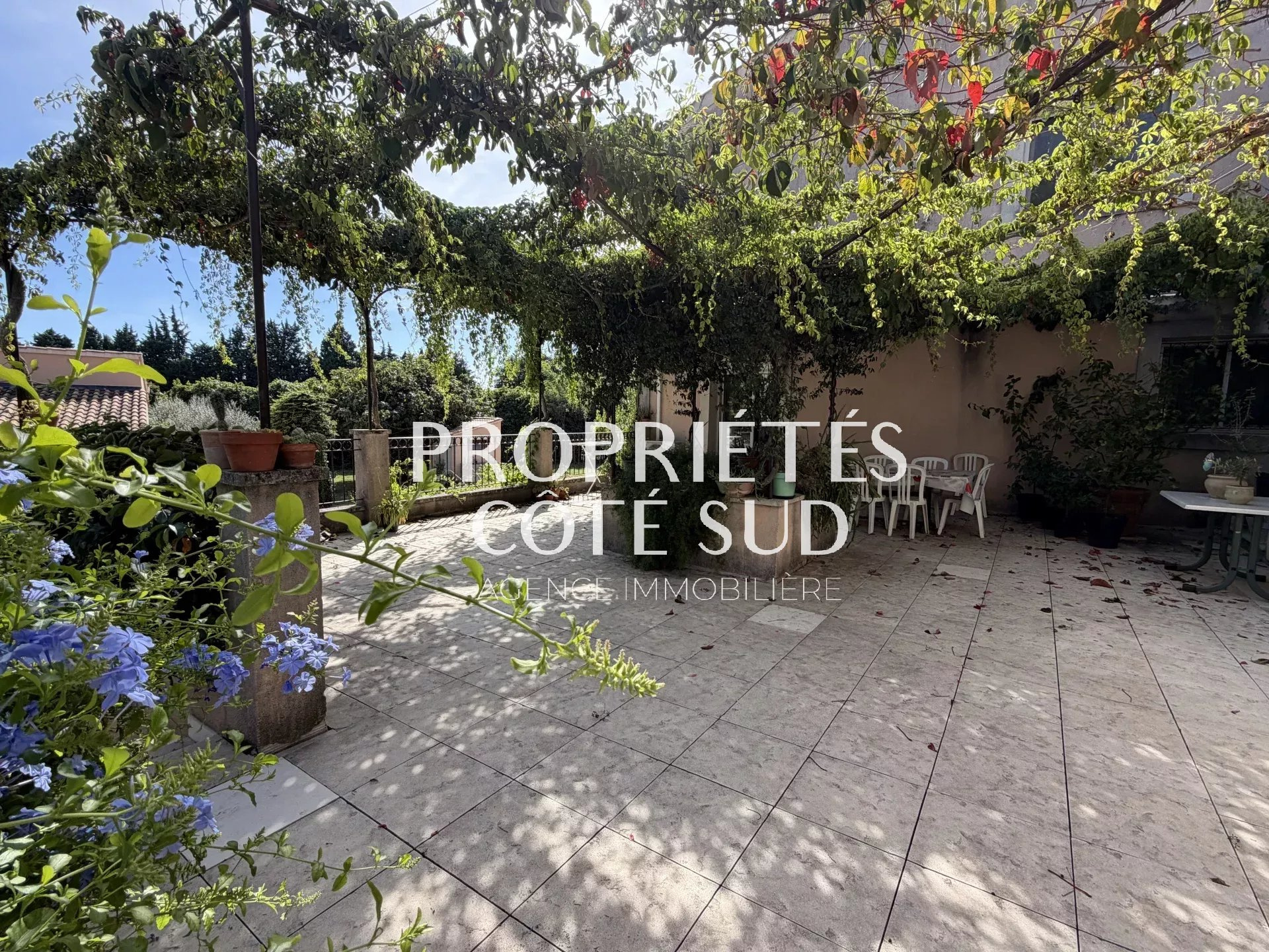 Commerce à vendre à Avignon, 306 m² – photo 2 sur 8